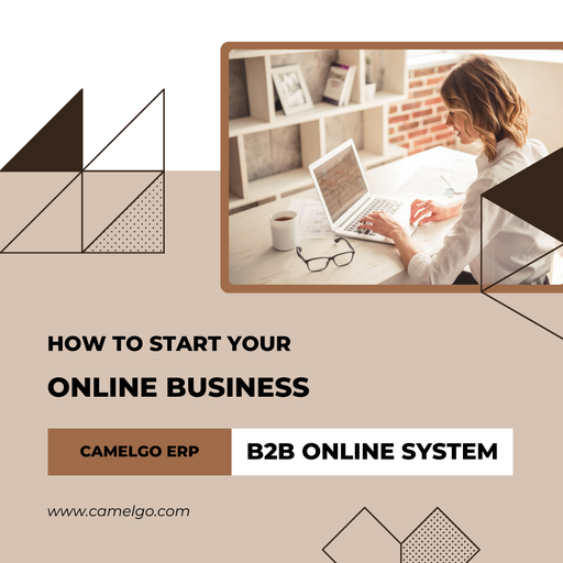B2B Online System